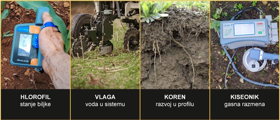 About Image